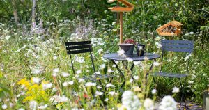 BBC Springwatch Garden RHS Hampton Court