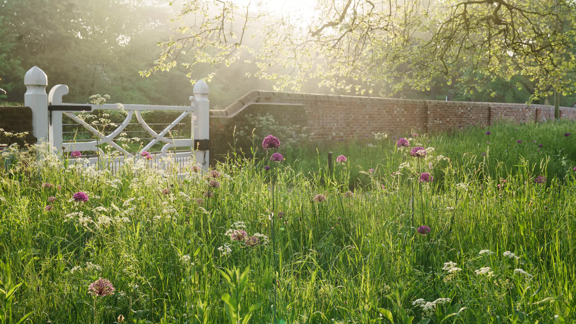 jo-thompson-landscape-garden-design-header-7